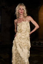 Embroidered Fringe Lace Dress